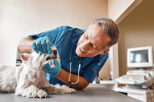 Best Emergency Root Canal Treatment in Crownpoint, NM